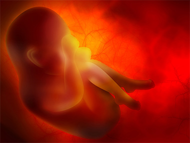 Mouvements Du Fœtus Et Nombre De Coups De Pied Info Grossesse
